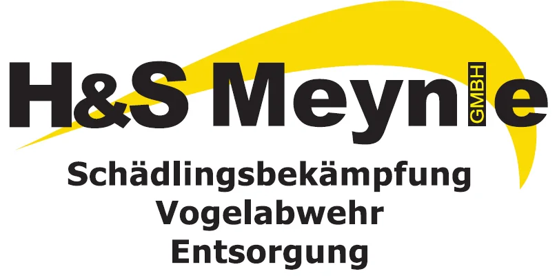 H&S